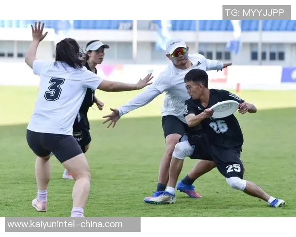 南京飞盘队实力飙升创历史新高引发全国关注与热议